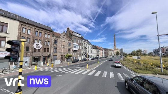 Gent vormt rijstrook aan Dok-Zuid om tot fietspad: "Ruimte
teruggeven aan voetgangers en fietsers"