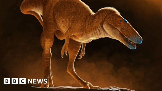 New species of dinosaur discovered that 'rewrites' T.rex family tree