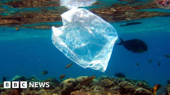 Have bans and fees curbed shoreline litter?
