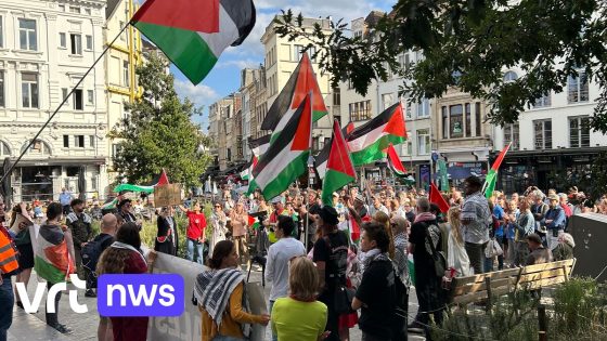 Honderden actievoerders eisen dat Israëlische vlag aan Antwerps stadhuis verdwijnt, PVDA hangt Palestijnse vlaggen uit protest