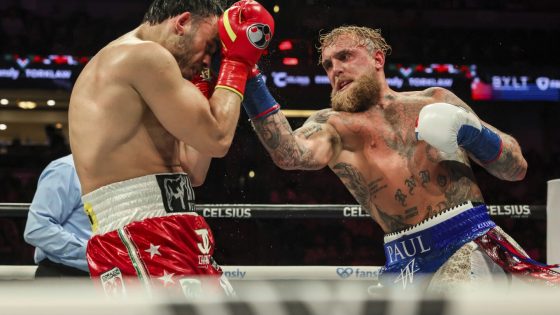 Jake Paul beats former middleweight champ Julio César Chávez Jr. by unanimous decision