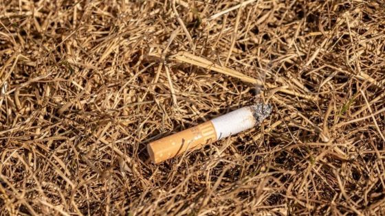 Jog­ger voor­komt bos­brand in Brug­ge: Klei­ne smeulp­lek had ramp kun­nen worden” - Focus en WTV