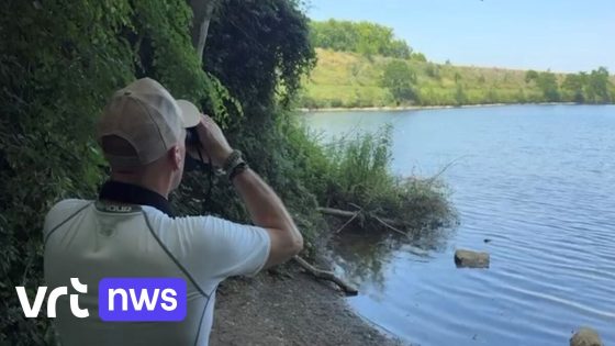 Natuurgebied in Luikse gemeente afgesloten omdat er mogelijk een kaaiman zit