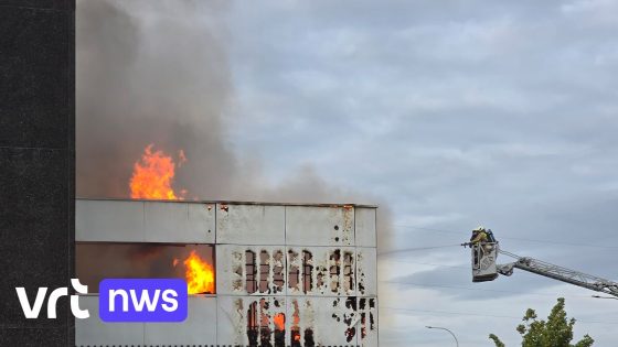 Zware brand verwoest groot deel van houtbedrijf in Oostende