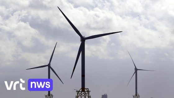 Oudere offshore windmolenparken worden gehinderd door nieuwe: "Ze zullen 8,5 procent minder elektriciteit maken"