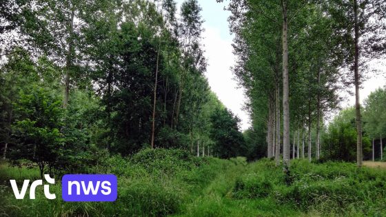 Raad van State vernietigt bescherming Watering De Holen in Pelt voor omleidingsweg