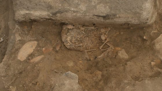 DNA analysis suggests matriarchal society in Neolithic settlement at Çatalhöyük