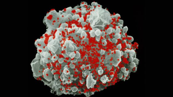 Used in Covid Shots, mRNA May Help Rid the Body of H.I.V.