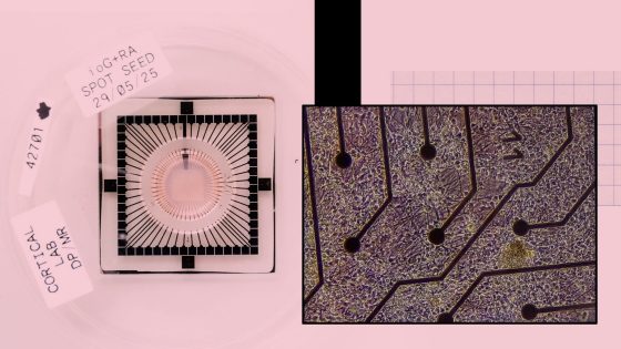 Inside the British lab growing a biological computer - Financial Times