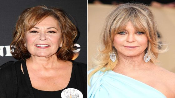 Roseanne Barr says baby she gave up for adoption thought she was Goldie Hawn