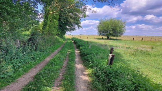 schepen De Roover voor deontologische commissie, fietspaden splijten gemeenteraad – NUUS