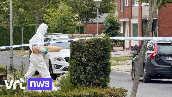 Tachtiger uit Ieper die vrouw ombracht toont spijt "wou echtgenote niet alleen achterlaten als hij uit het leven stapte"