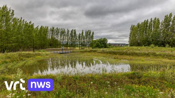 Terrein De Voerman in Anzegem is klaar voor bouw huizen en bedrijfsgebouwen