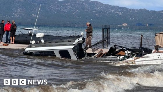 'The water was just screaming,' says witness of boat tragedy that killed eight