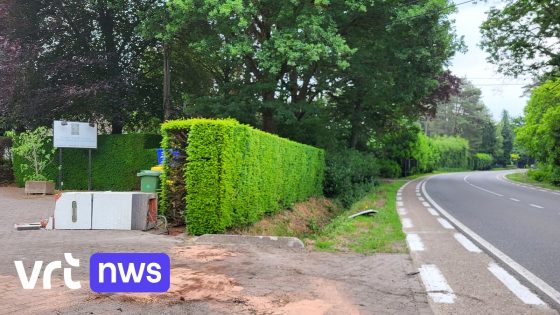 Vijftiger gaat met auto over de kop en komt om in Oud-Turnhout