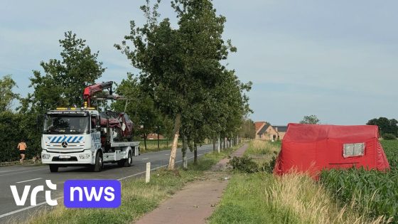 Vrouw (27) sterft bij verkeersongeval in Wuustwezel, nog niet duidelijk hoe ongeval kon gebeuren - VRT