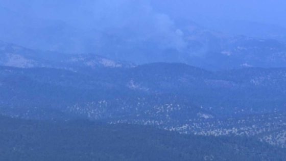 Trout Fire continues to grow in southwest New Mexico