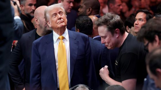 Trump-Musk meltdown gets Europe gloating - politico.eu