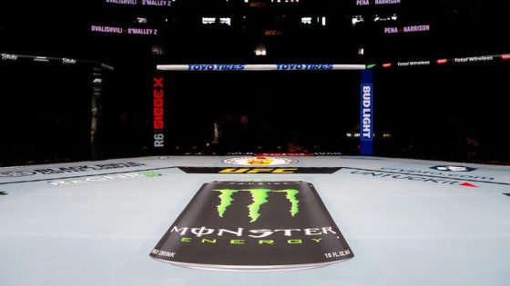 UFC 316: Dvalishvili vs O'Malley 2 Prelim Results