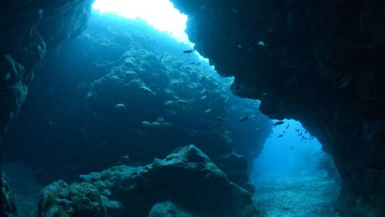 A Mistake Led To The Discovery Of An Underwater Island Full Of Rare Earth Elements