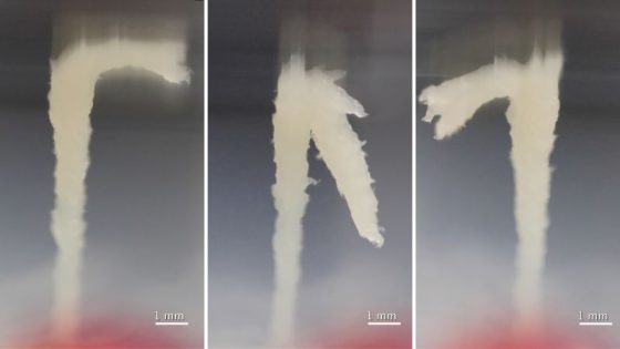 Nematodes: These worms stack together to form living towers