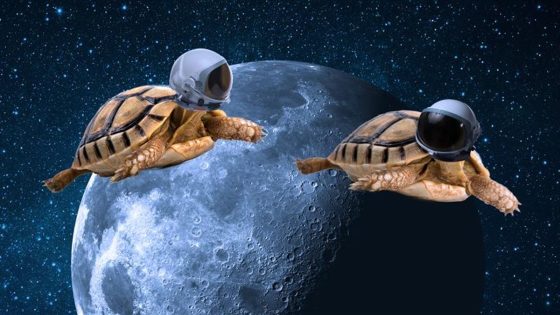 Humans Weren't The First Species To Travel Around The Moon. They Lost This Race To An Unexpected Animal
