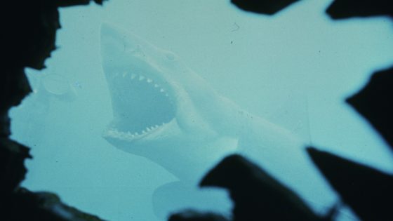 Think you know 'Jaws'? Test your knowledge with these 16 bits of lore