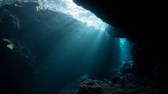 Scientists Find A New Predator In Ocean’s Most Mysterious Zone