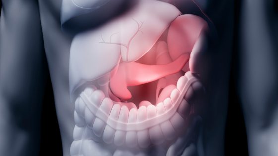 Insulin Isn't Just Made by The Pancreas. Here's Another Location Few Know About. : ScienceAlert