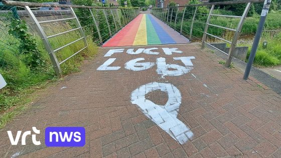 Vandalen schilderen homofobe slogan op regenboogbrug in Diest
