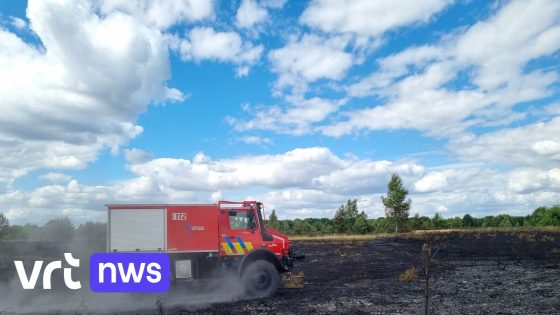 Wat bezielt brandstichters? "Pyromanie is heel zeldzaam, meestal spelen andere motieven"