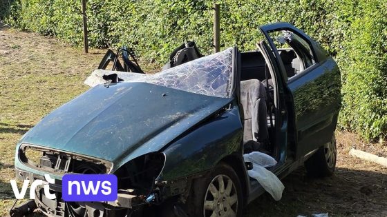 Vrouw zwaargewond na botsing tegen boom in Verrebroek