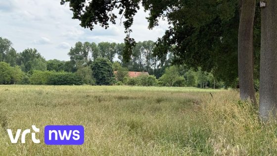 Laatste wens van Wommelgemse boerenfamilie in vervulling: Selsaetenhoeve blijft ook komende eeuw open ruimte