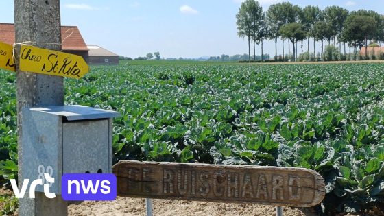 Meisje van 13 uit Sint-Truiden sterft door hartfalen op Chirokamp in Leisele