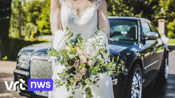 7 rijbewijzen ingetrokken na trouwstoet op N16 in Puurs: "Feestvierders begrepen onze interventie niet echt"