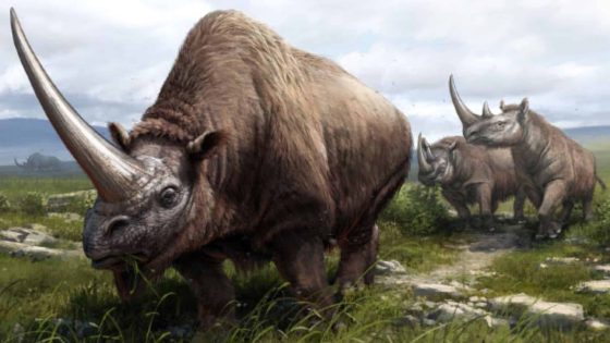Ancient Proteins From A 24 Million Year Old Rhino Open New Window Into Evolution