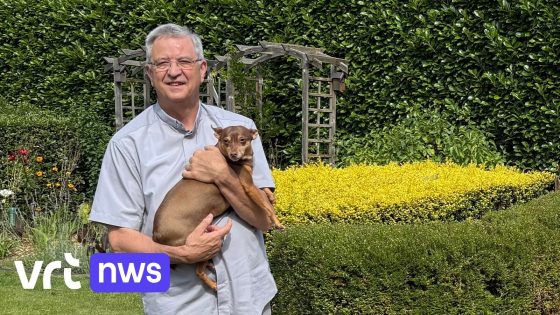 Antwerpse bisschop Bonny viert 70e verjaardag en denkt nog niet aan stoppen: "De goesting om door te gaan is er"