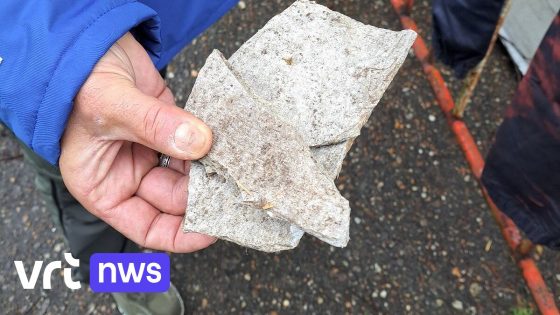 Bewoners van 5 huizen in Lede geëvacueerd na brand waarbij asbest is vrijgekomen 