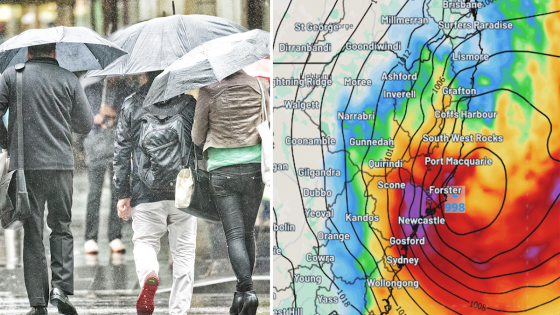 BOM issues weather alert as 100kph winds set to cause chaos for millions within hours