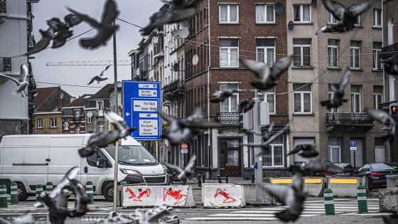 Duiven krijgen geen anticonceptie meer in Elsene