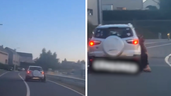 Hond sterft nadat hij minutenlang wordt meegesleept langs auto, met dood bedreigde man beweert dat hij dacht dat dier in koffer lag