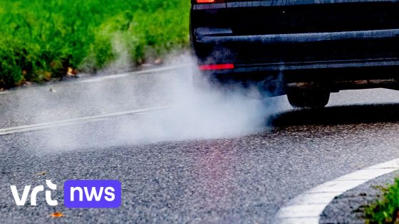 Vlaming verliest 13 gezonde levensmaanden door blootstelling aan fijnstof