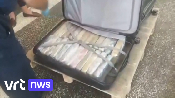 Belgisch busje, Congolese diplomaat en 206 kilogram cocaïne: Bulgaarse douane neemt recordhoeveelheid drugs in beslag