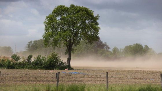 Grondwater staat op veel plekken zeer laag: “Zo’n droogte kwam vroeger slechts eens per 20 tot 50 jaar voor”