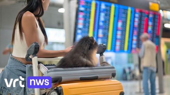 Een hond mee naar huis nemen vanop vakantie? Voedselagentschap waarschuwt voor verdoken dierenhandel via sociale media