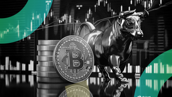 bitcoin exchange flows cryptoquant