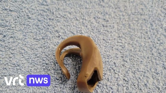 Blauwe reiger zwaar verzwakt door rubberen lampje: "Laat geen afval achter in de natuur", waarschuwt VOC Neteland