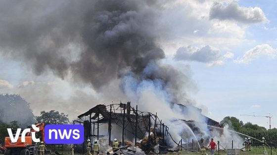 Brand in hooischuur bij manege in Dentergem aangestoken door broertjes van 9 en 14