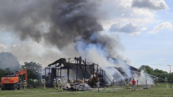 Brand in hooischuur mogelijk veroorzaakt door broertjes die met aansteker speelden - Nieuwsblad