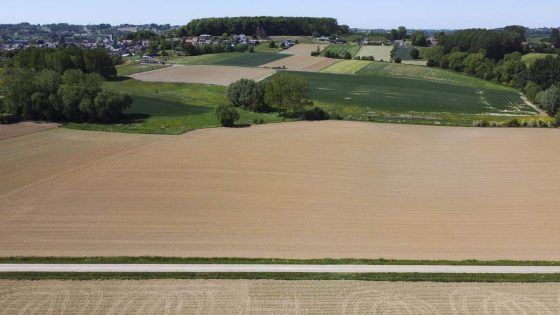 Brouns maakt natuur van 15.000 hectare bouwgrond, én creëert landbouwgebied - De Standaard